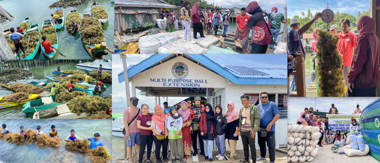 Read more about the article SDF-PMO joins MAFAR on the series of inspections, turnover of seaweed farm implements, seedlings, nursery in Tawi-Tawi